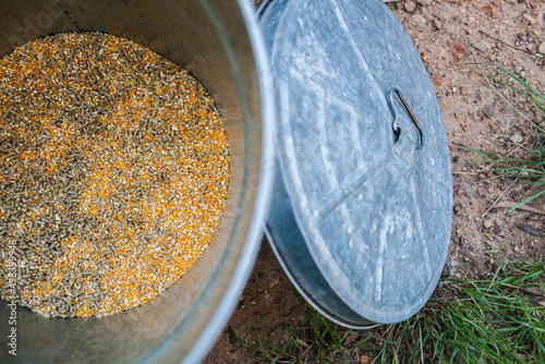 Chook food mix of pellets and corn in feed bin