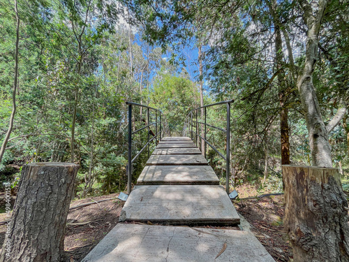 rustic concrete bridge in the forest with logs 