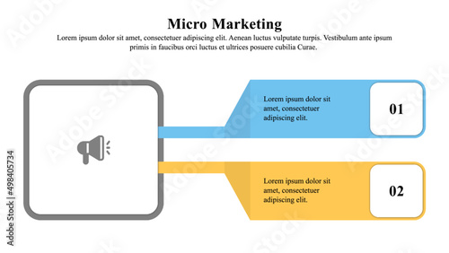 Infographic presentation template of the micro-marketing strategy used over a target group of customers in a niche market.