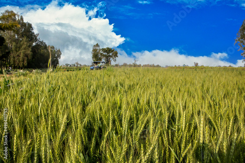 farmar farming on a  tractor photo