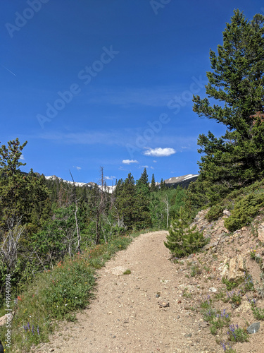 Sunny Clear Hiking Trail in Northern Colorado For Emmaline Lake in Forest