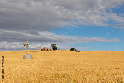 windmill and tank near old ruin in farm land photo