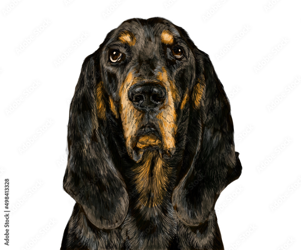 Close-up realistic front view gordon setter puppy black dog in digital painting illustration art design