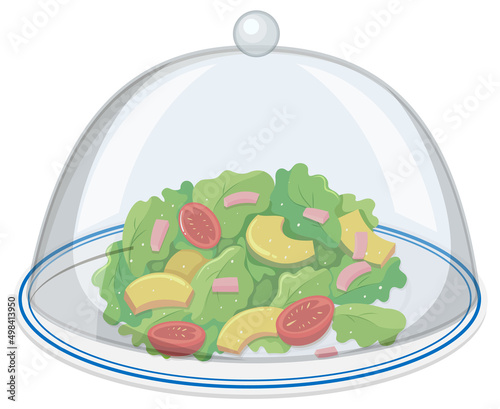 Plate of green salad with glass cover on white background