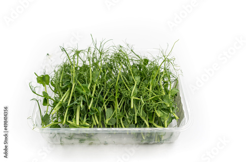 Microgreens pea isolated on white background. Fresh micro greens pea sprouts