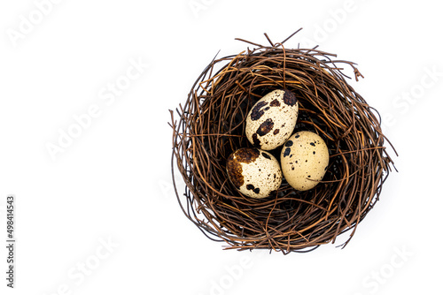 Raw quail eggs on a white background in a nest, top view, healthy eating concept