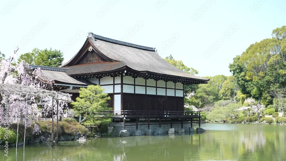 kyoto heianjingu temple Cherry Blossoms 2022(京都 平安神宮 桜2022) kyoto heianjingu temple Cherry Blossoms 2022(京都 平安神宮 桜2022)