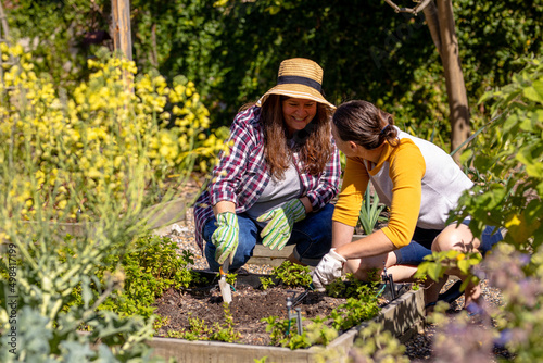 Happy caucasian mature lesbian couple gardening in vegetable garden during sunny day