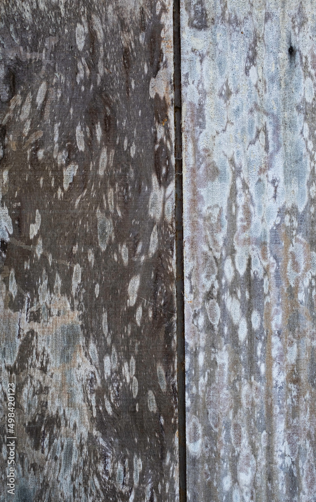 Obraz premium Old wood planks background texture