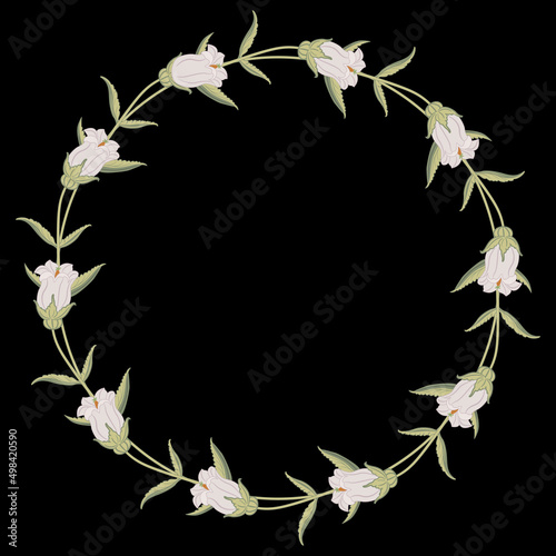 Round floral pattern, frame or texture. Wreath of bell flowers. Campana Lilac Campanula. On black background.