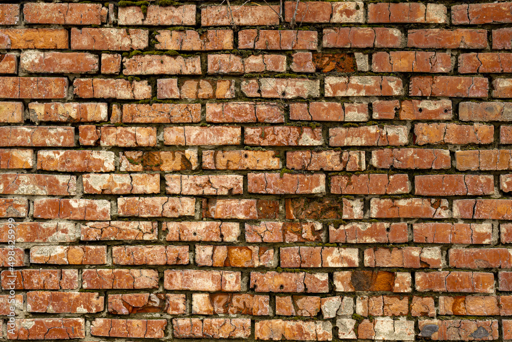 Fototapeta premium Authentic grunge vintage red-orange brick wall with traces of grown moss.