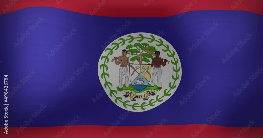 Animation of moving flag of belize waving