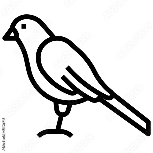 CANARY line icon