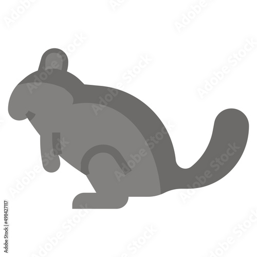 CHINCHILLA flat icon