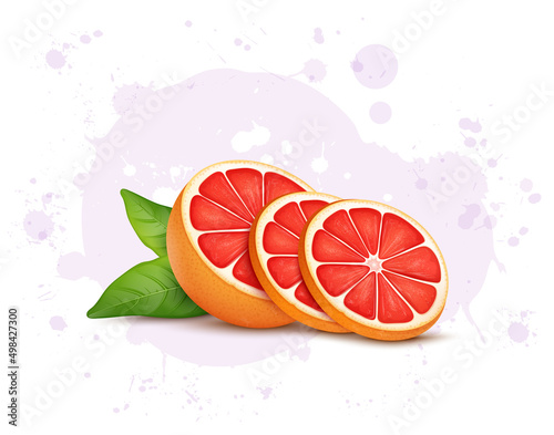 Half piece of Grapefruit with fruit slices vector illustration