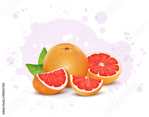 Fresh Grapefruit vector illustration with half piece and slices of fruit