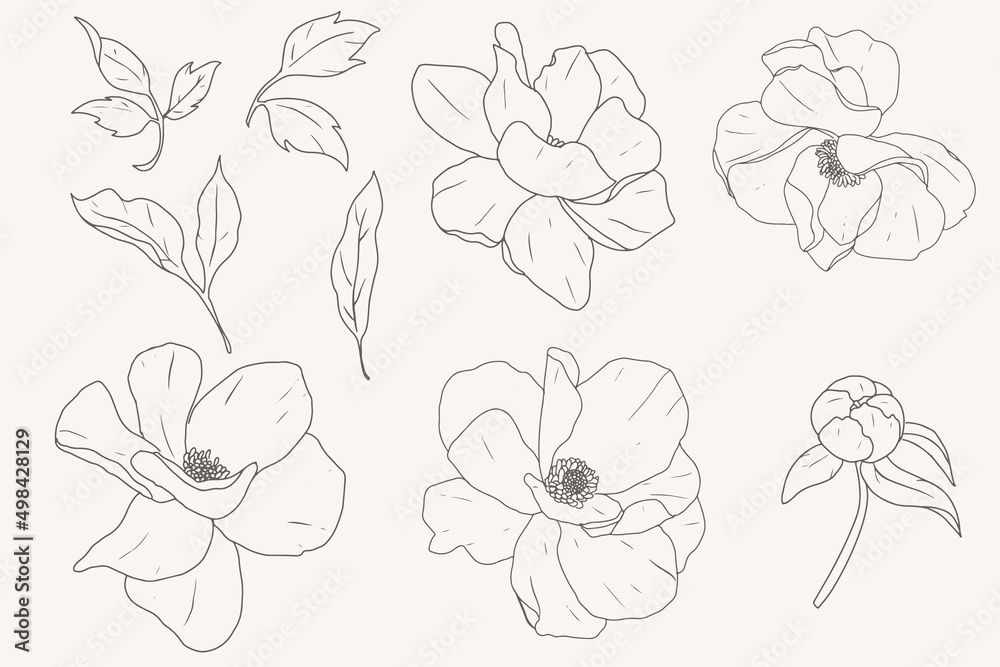 doodle line art peony flower elements collection
