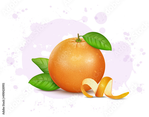 Fresh Grapefruit vector illustration with green leaves
