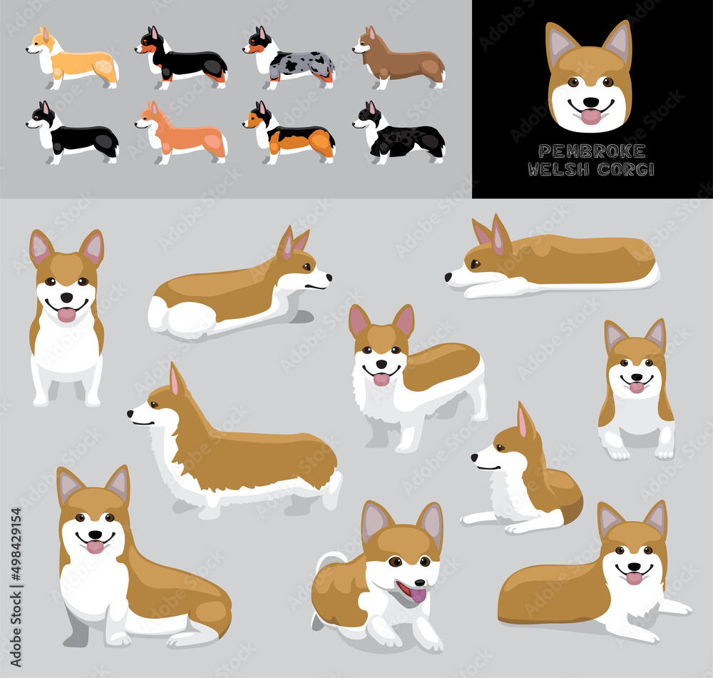 Fototapeta premium Dog Pembroke Welsh Corgi Cartoon Vector Illustration Color Variation Set