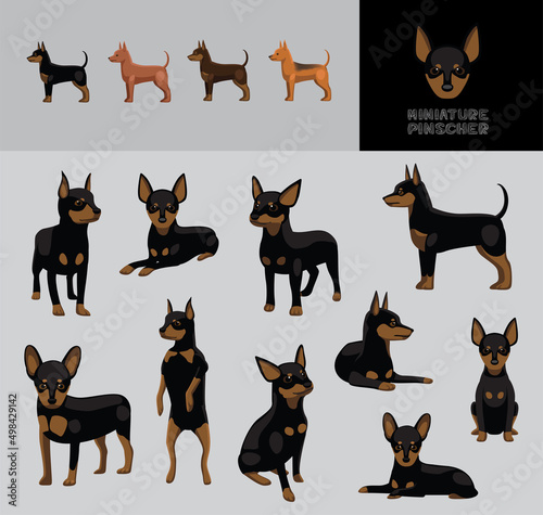 Dog Miniature Pinscher Cartoon Vector Illustration Color Variation Set photo