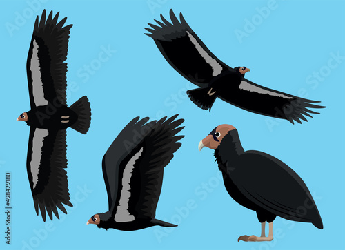 Bird Vulture California Condor Cartoon Vector Set