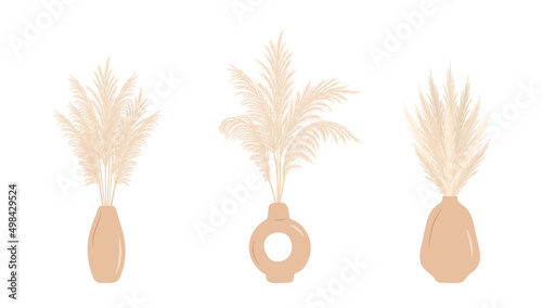 Dry pampas grass in vases. Set of cortaderia arrangements in boho style. Vector dried flowers isolated on white background. Trendy element design for wedding invitations, postcards, home interior.
