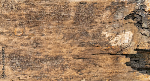 texture of the old spoiled wood damaged