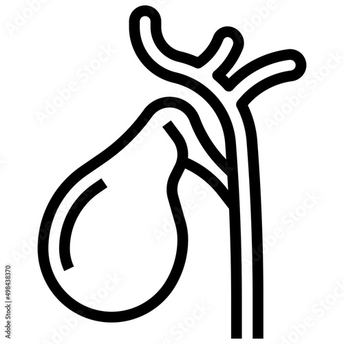 GALLBLADDER line icon