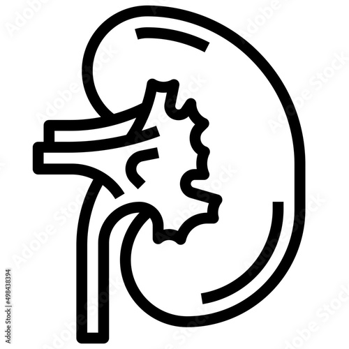 KIDNEYS line icon