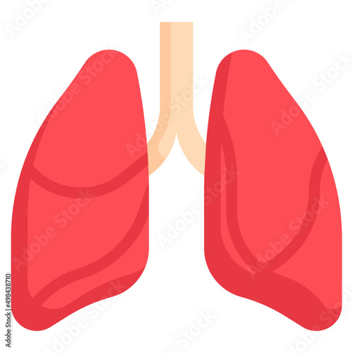 LUNGS flat icon