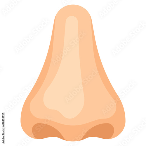 NOSE flat icon
