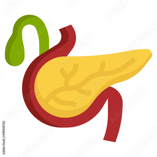 PANCREAS flat icon