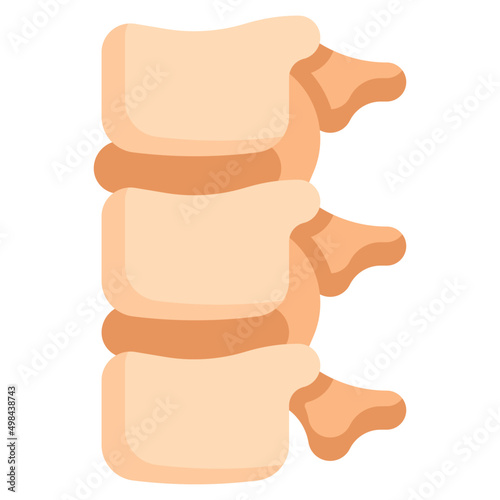 SPINE flat icon