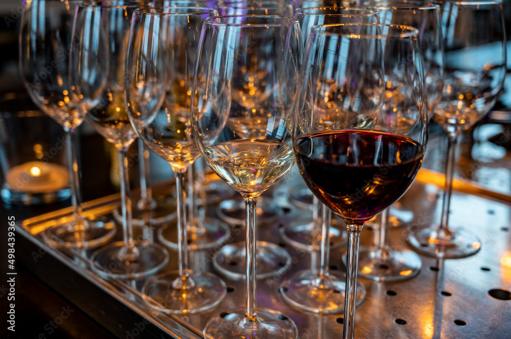 Many glasses of white and red white served for party or celebration Many glasses of white and red white served for party or celebration