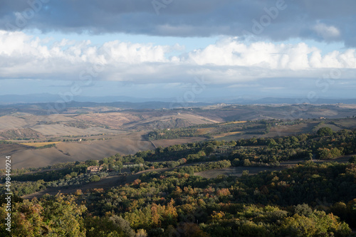 Fototapeta Naklejka Na Ścianę i Meble -  Morning walk on hills near Bagno Vignoni, Tuscany, Italy. Tuscan landscape with cypress trees, vineyards, forests and ploughed fields in autumn.