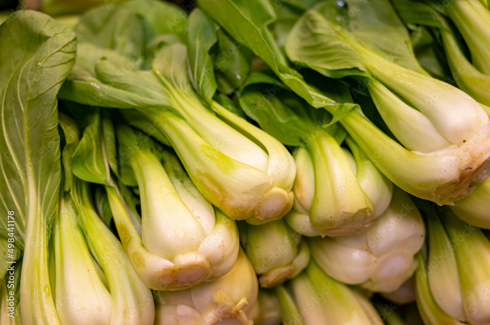 Chinese green cabbage pak choi on farmers market