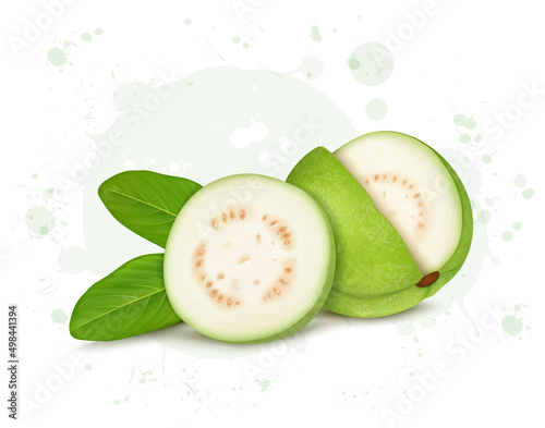 Fresh Green Guava vector illustration with half piece of guava