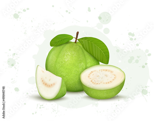 Vector illustration of Green guava vector illustration with half piece and slices of guava