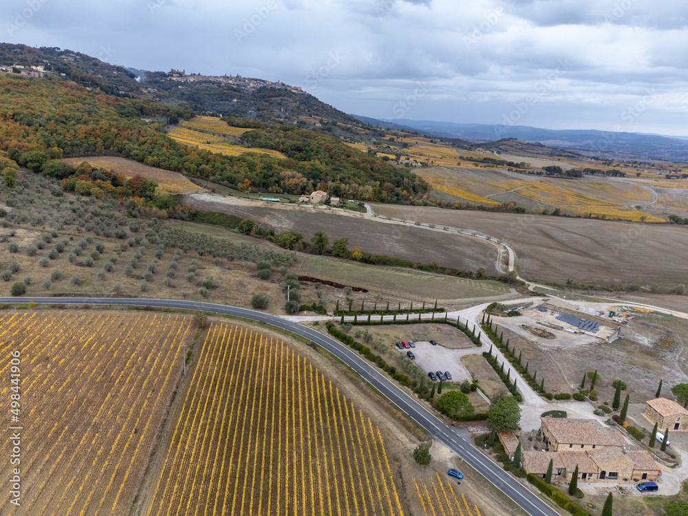 Flying drone above colorful autumn sangiovese grapes vineyards near wine making town Montalcino, Tuscany, rows of grape plants after harvest, Italy