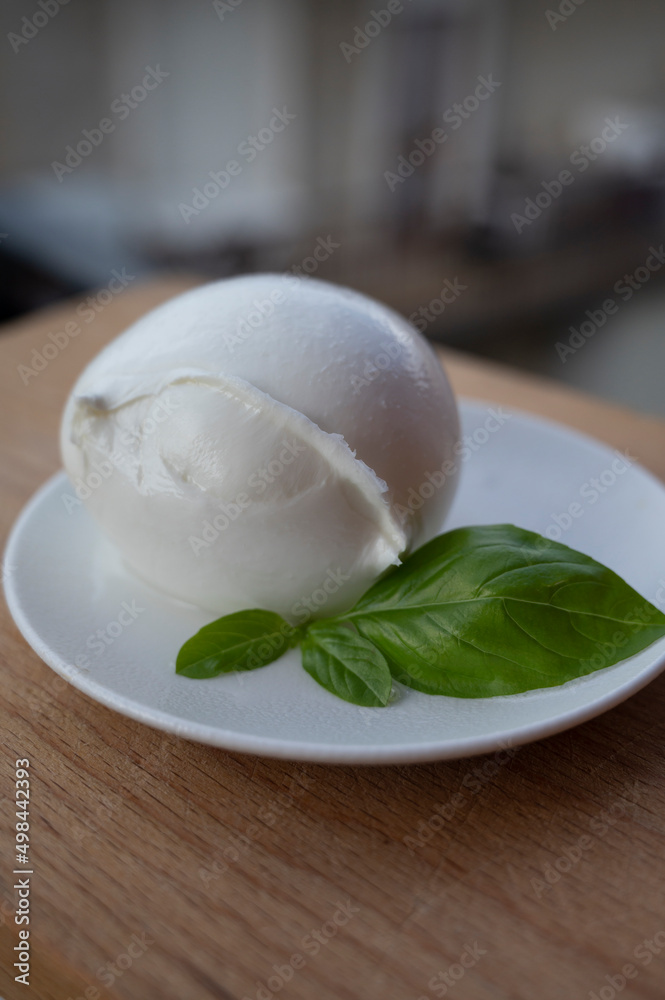 White ball of Italian soft cheese Mozzarella di Bufala Campana and fresh green basil