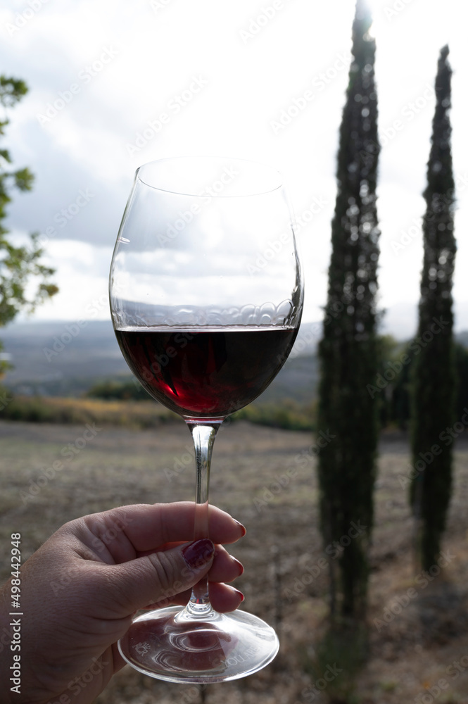 Tasting of red sangiovese wine with typical hilly vineyards and cypress tree on background near Montepulciano, Tuscany, Italy