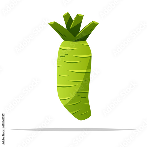 Fresh wasabi root vector isolated illustration