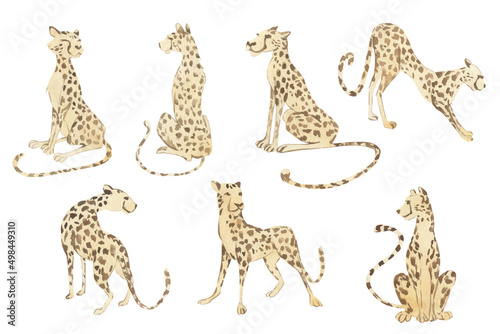 Watercolor drawings of a cheetah in different poses