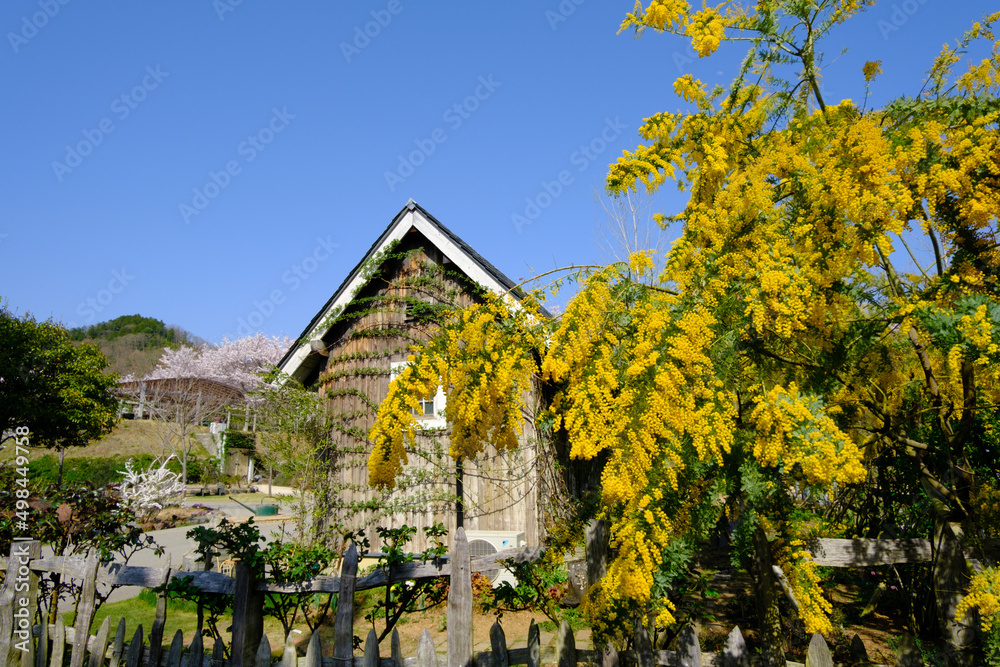 Naklejka premium ローザンベリー多和田の小さな小屋