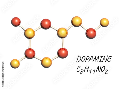 Chemical formula of Dopamine - happiness hormone. Molecular model of Dopamine hormone. Isolated on white background photo