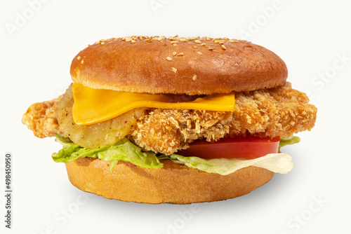 delicious burger isolated for menu fast food