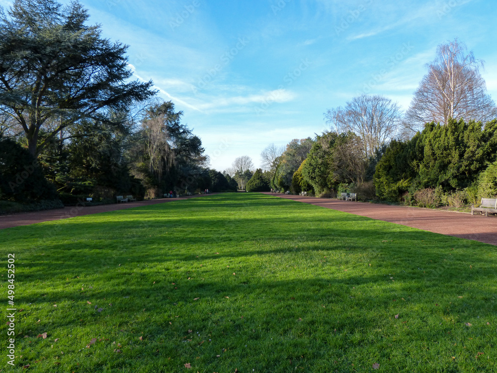 Grass field in park and blue sky