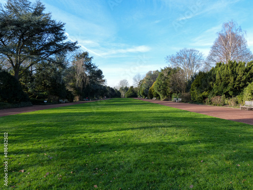Grass field in park and blue sky