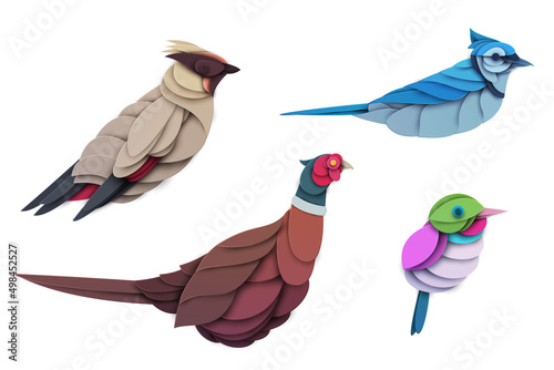 Set of abstract birds isolated on white background. Blue jay, pheasant, cuban tody, waxwing. Creative 3d concept in cartoon craft paper cut style. Colorful minimal character. Vector illustration.