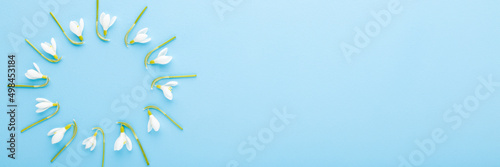 Flower circle created from white fresh beautiful snowdrops on light blue table background. Pastel color. First messengers of spring. Closeup. Top down view. Wide banner. Empty place for text.